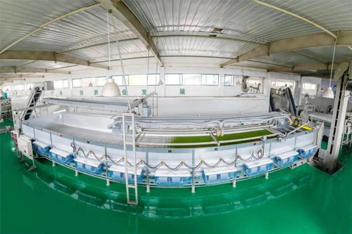 無由持一碗,寄與愛茶人