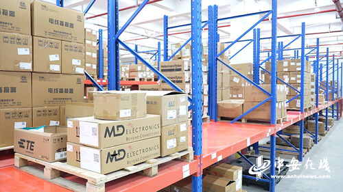 阜陽 一心一意謀發展 開足馬力譜新篇