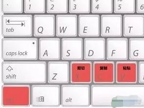 高效利器 常用鍵盤(pán)快捷鍵全解